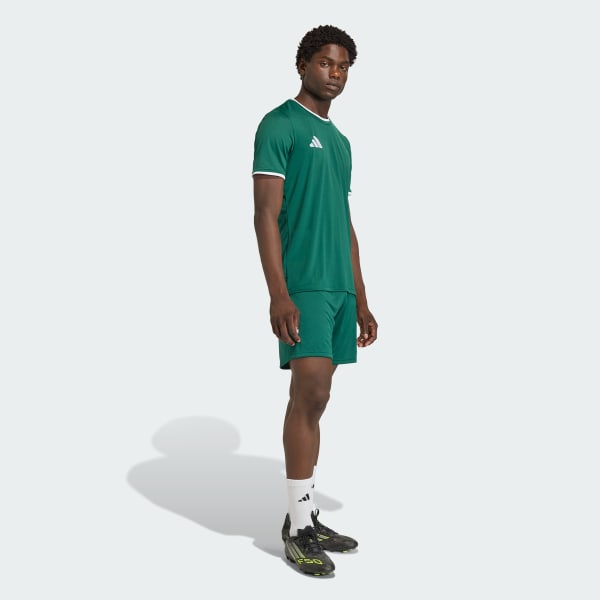 Gron Entrada26 shorts