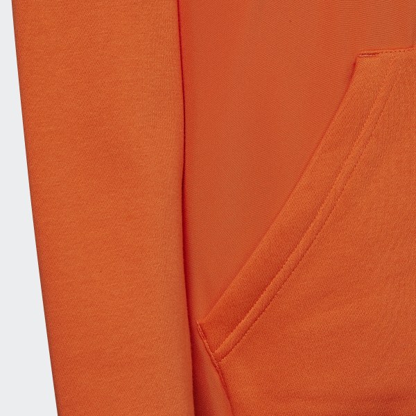 Pomarańczowy All SZN Fleece Pullover Sweatshirt RW124