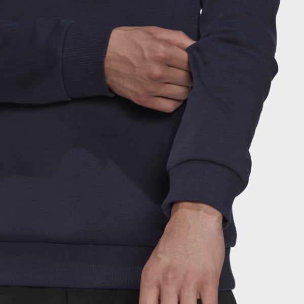 Blue Terrex Logo Graphic Hoodie