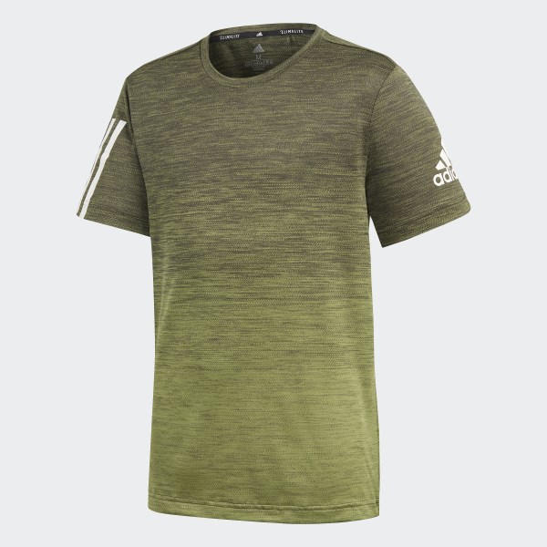 camisetas adidas niño olive