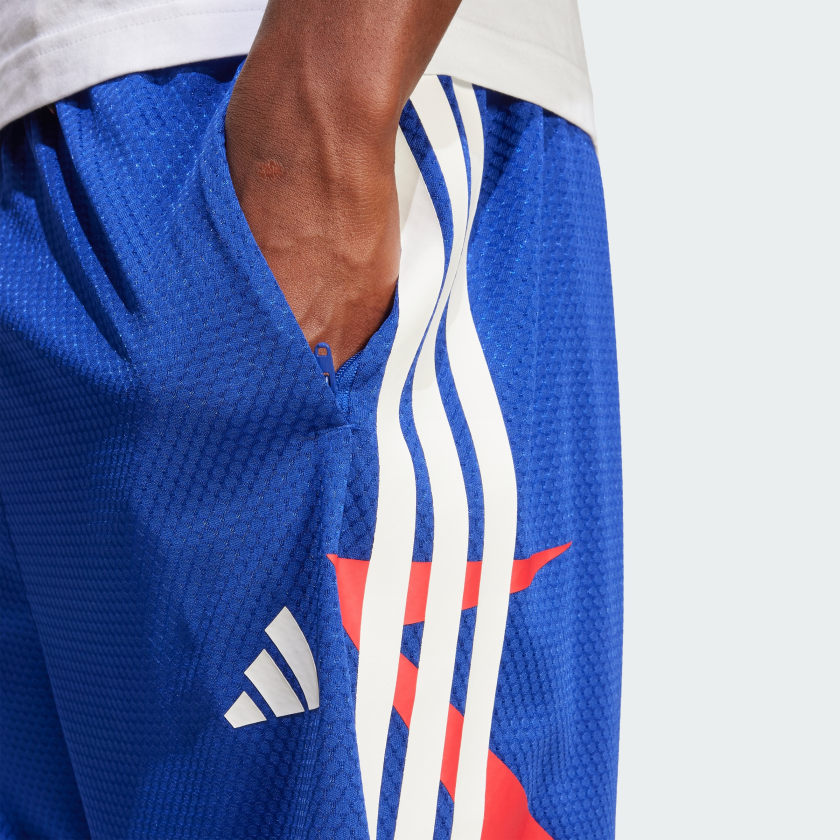 как выглядит adidas men House of Tiro Nations Pack Shorts фото