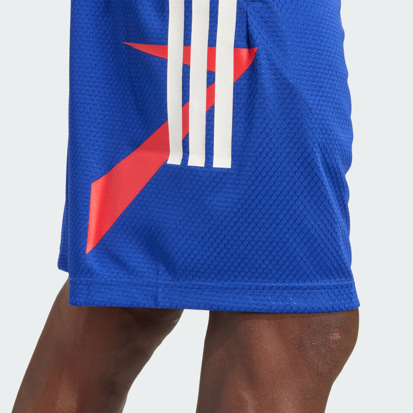 как выглядит adidas men House of Tiro Nations Pack Shorts фото