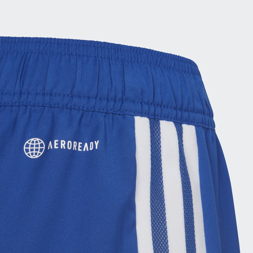 как выглядит adidas kids Tiro 23 Competition Match Shorts фото
