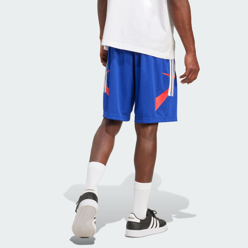 как выглядит adidas men House of Tiro Nations Pack Shorts фото