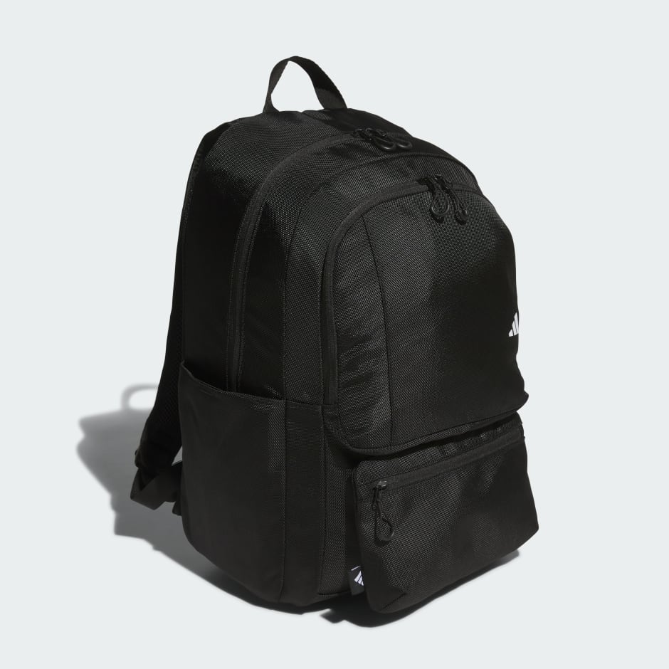 2-in-1 Backpack