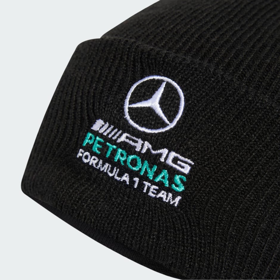 CĂCIULĂ MERCEDES - AMG PETRONAS FORMULA 1 TEAM DNA
