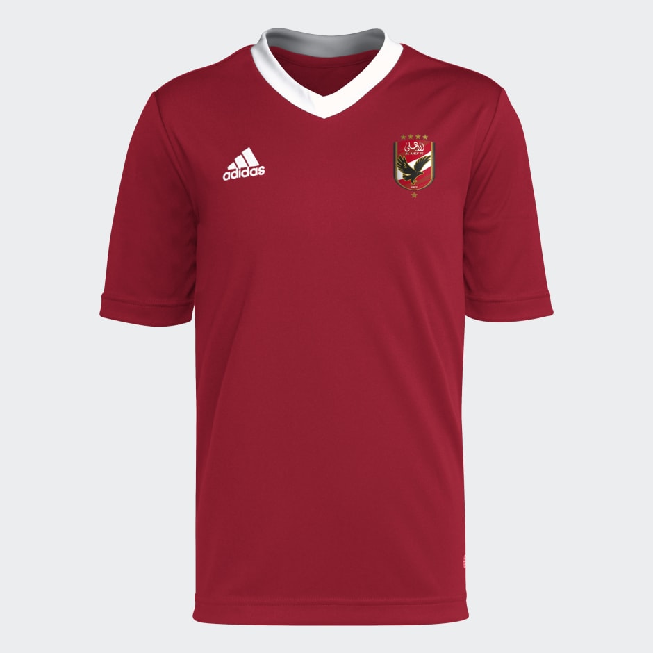 : Egypt Soccer Jersey, Egypt Football Shirt : Clothing, Shoes &  Jewelry