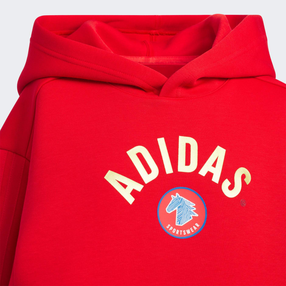 SPORTSWEAR Junior Boy Knitted Hoodie