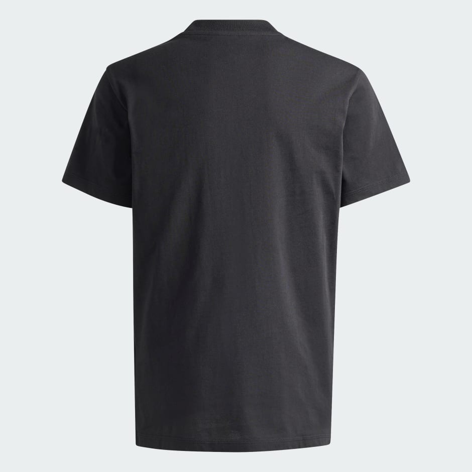 تيشيرت Mercedes - AMG Petronas Formula One Team Graphic