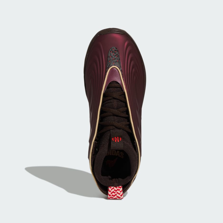 Harden Volume 10 鞋