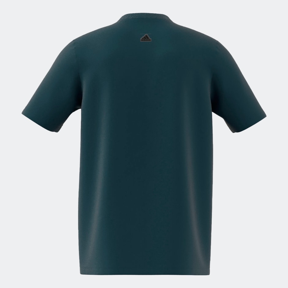 M FI CAMO T