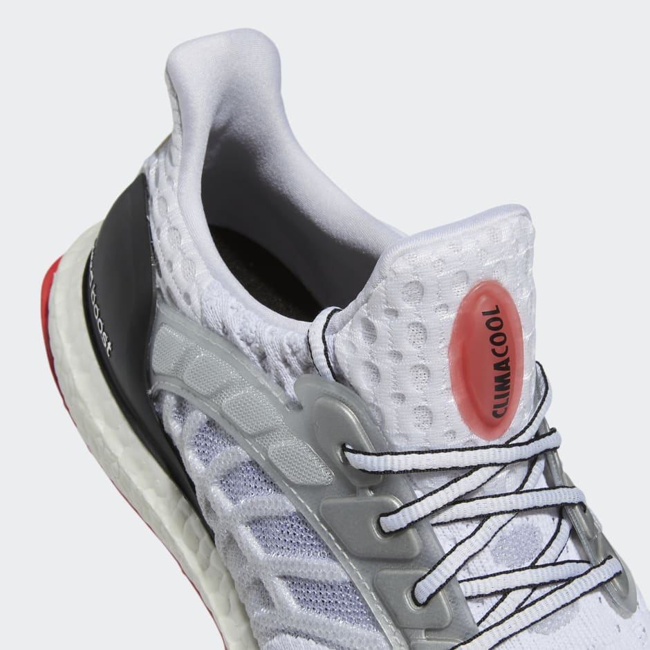 Ultraboost Climacool 2 DNA Shoes