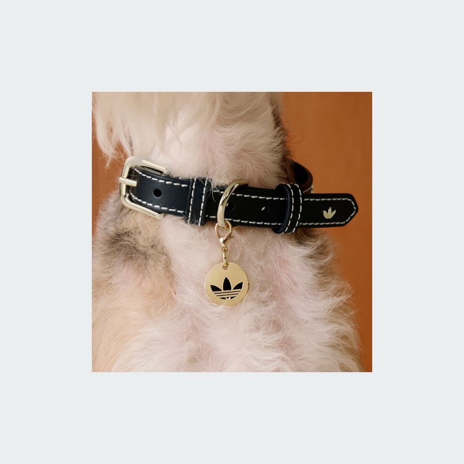 Pet Collar