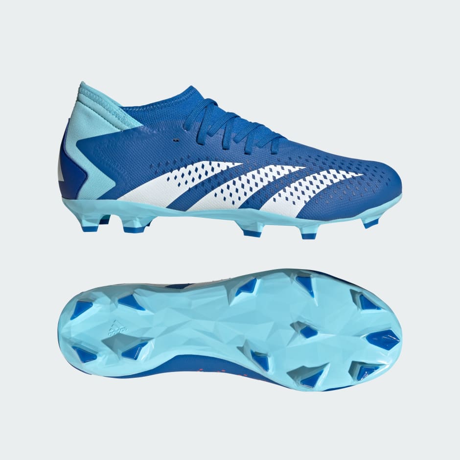 Chaussure on sale adidas predator