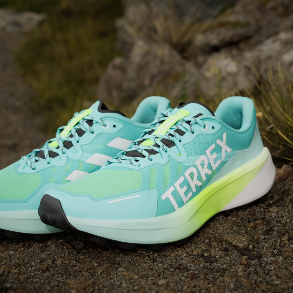 Tenisice za trail trčanje Terrex Agravic 3