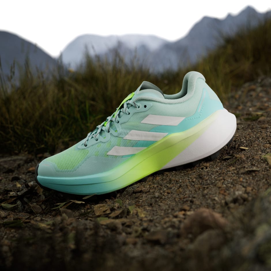 Tenisice za trail trčanje Terrex Agravic 3 