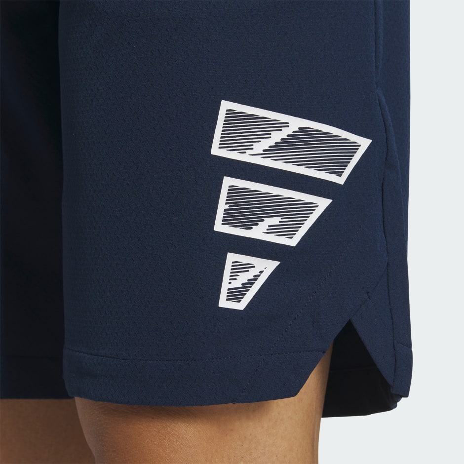 10-INCH SHORTS