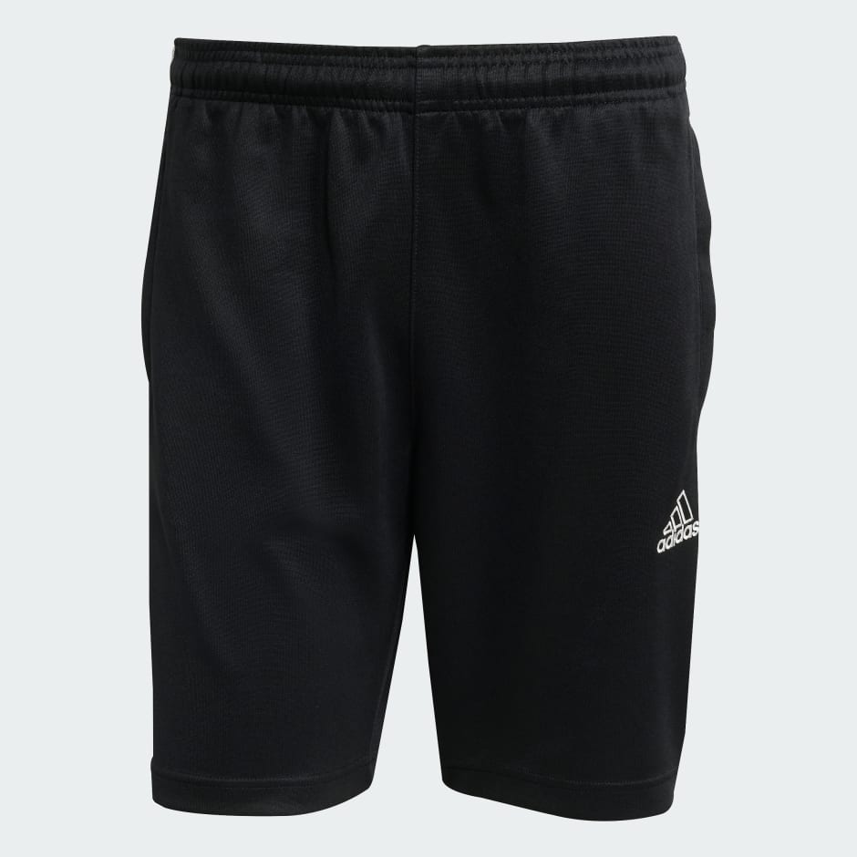 Mesh Stripe Shorts