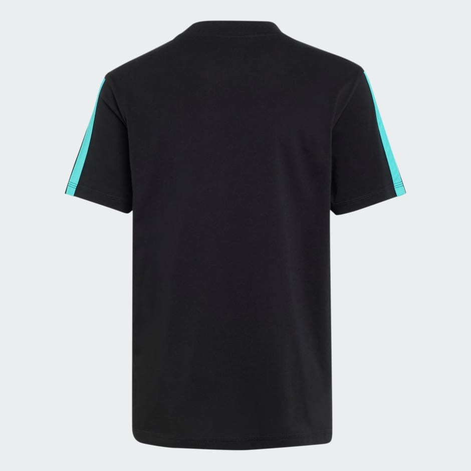 MERCEDES - AMG PETRONAS FORMULA 1 TEAM DNA TEE