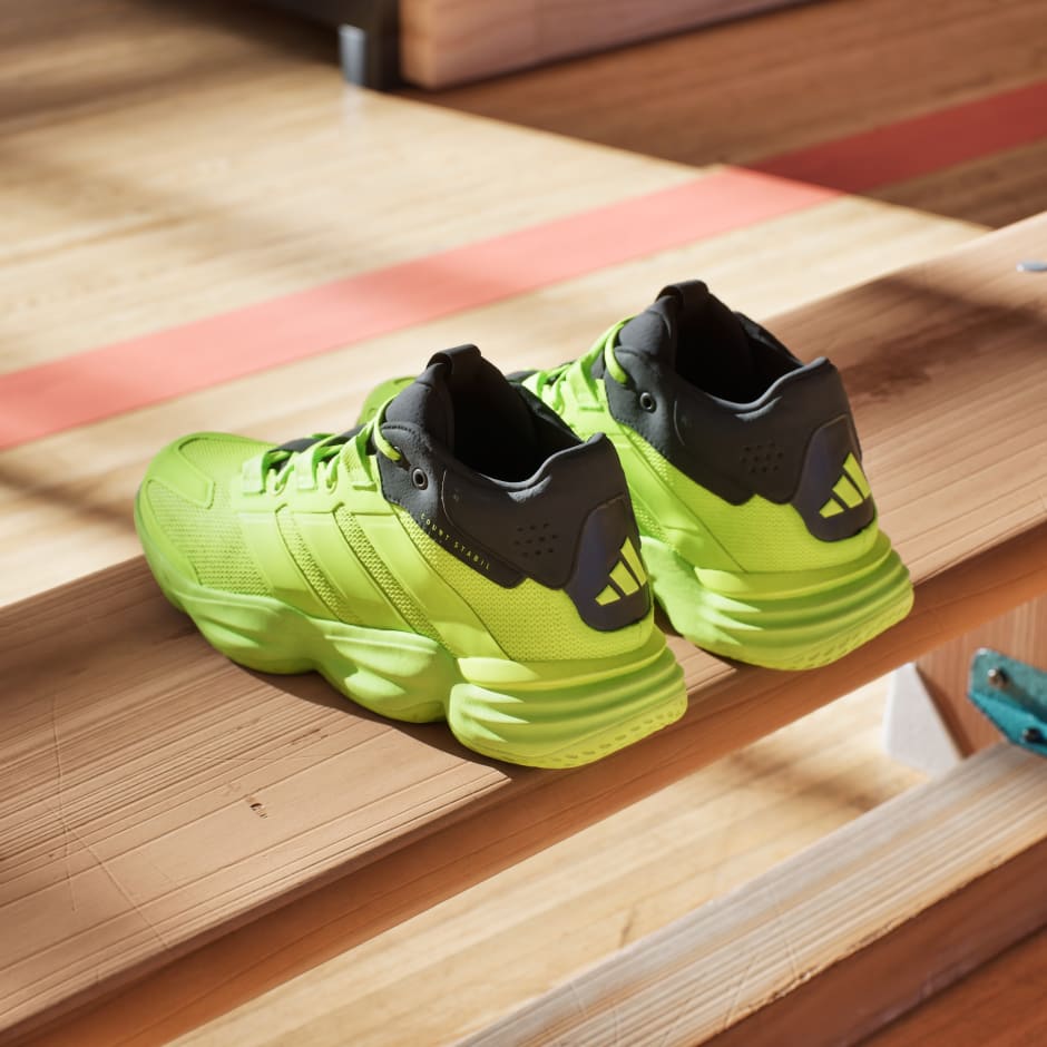 Pantofi de interior Court Stabil