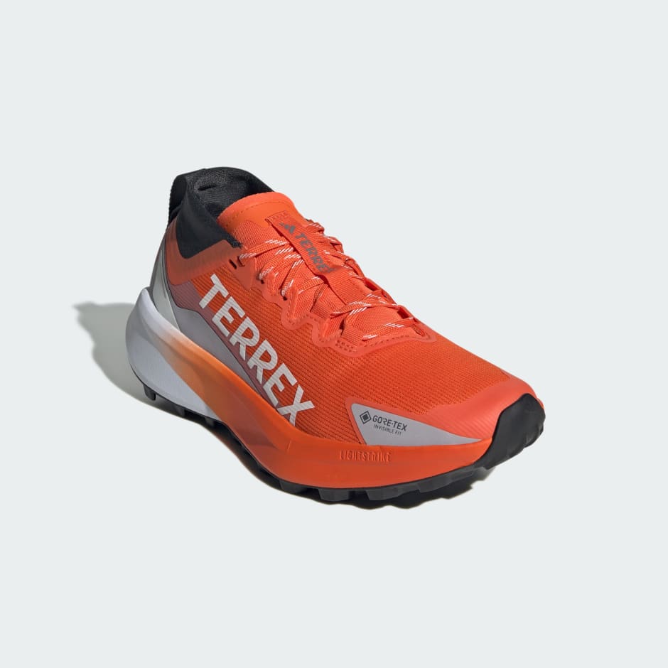 Pantofi de alergat pe trasee Terrex Agravic GTX