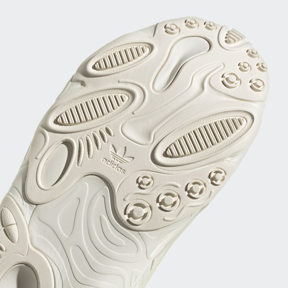 OZNOVA Shoes