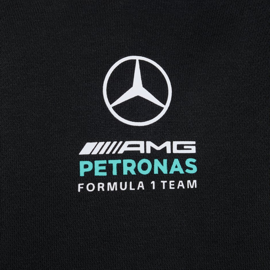 MERCEDES - AMG PETRONAS FORMULA 1 TEAM DNA FULL ZIP HOODY