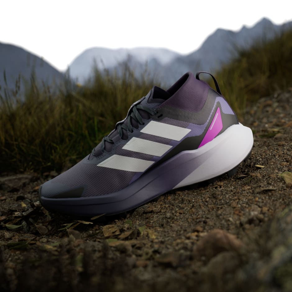 Tenisice za trail trčanje Terrex Agravic GTX