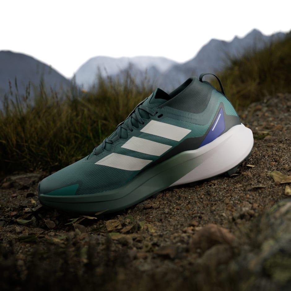 Tenisice za trail trčanje Terrex Agravic GTX