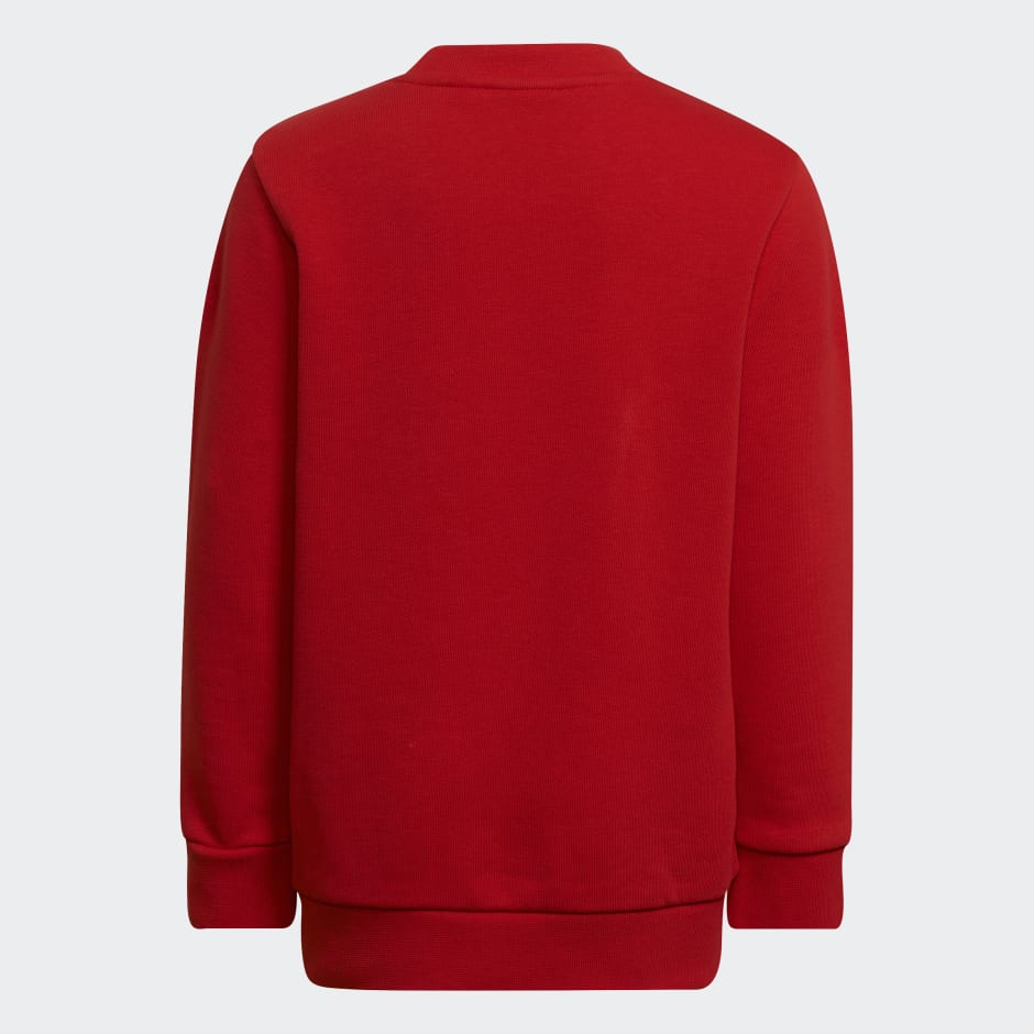 Sudadera Adicolor