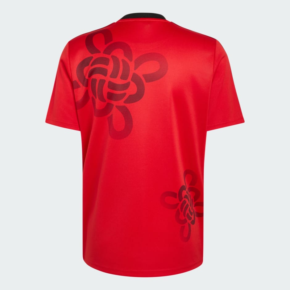 Manchester United Cultural Story Jersey