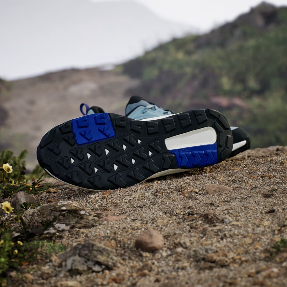 Terrex Anylander Hiking Shoes