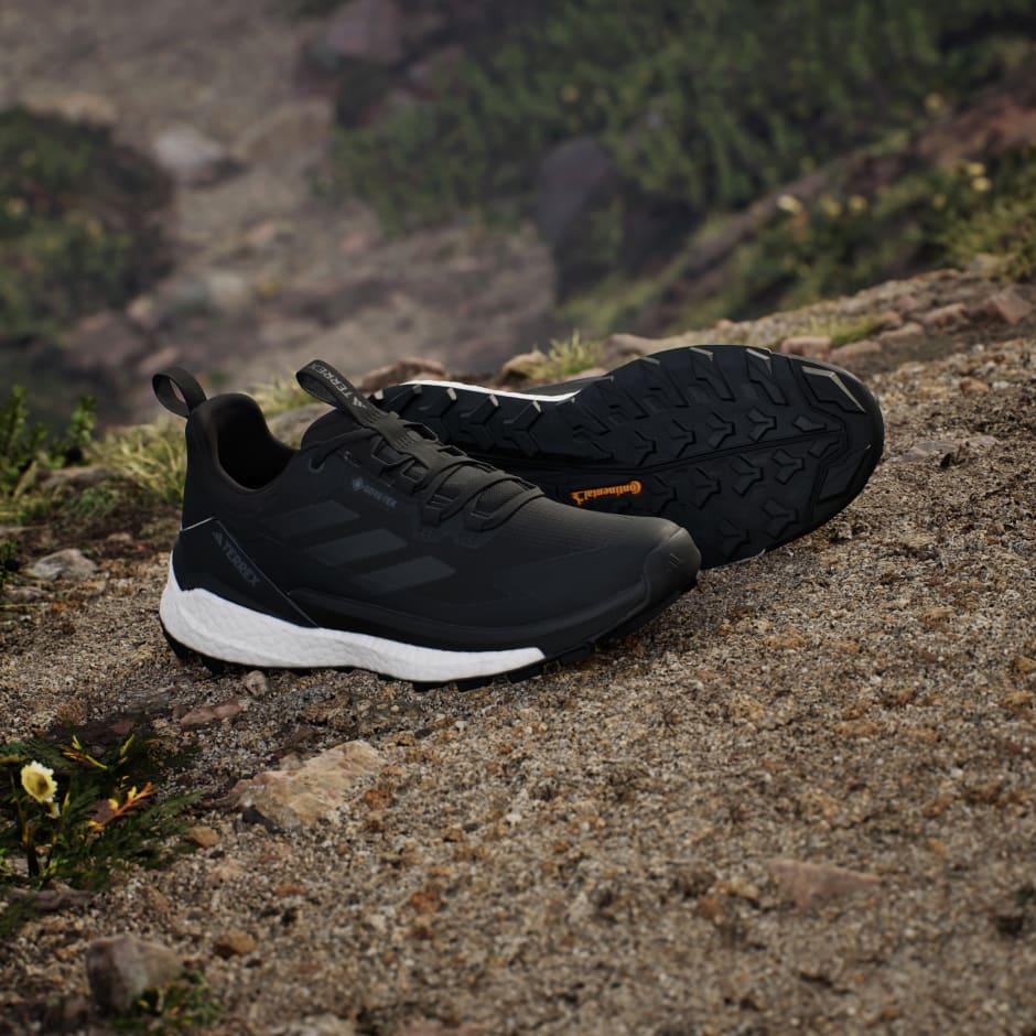 Planinarske cipele Terrex Free Hiker 2.0 Low Gore-Tex