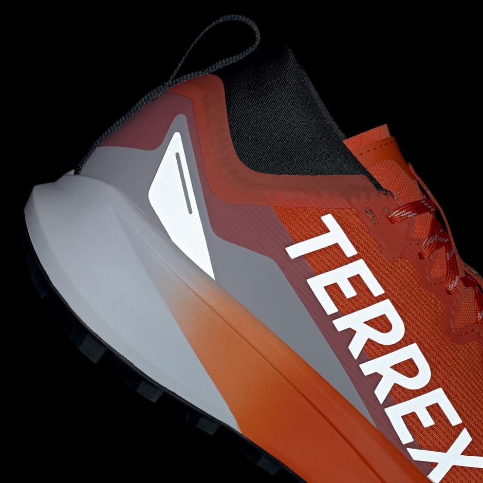 Terrex Agravic GTX Trail Running Shoes