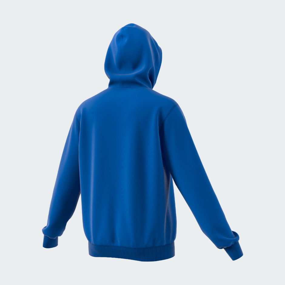 ESSENTIAL HOODY M