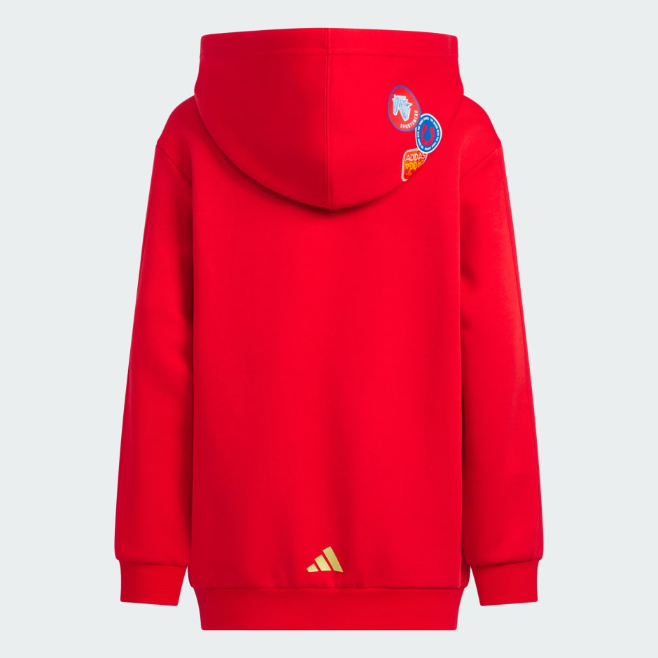 SPORTSWEAR Junior Boy Knitted Hoodie