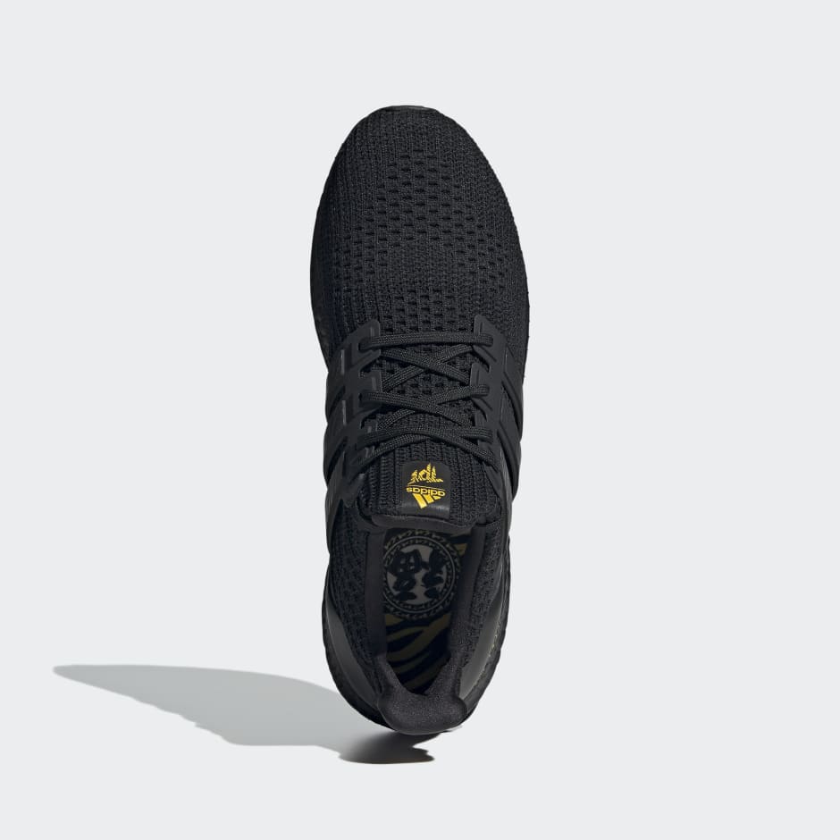 Ultraboost 4 DNA Shoes