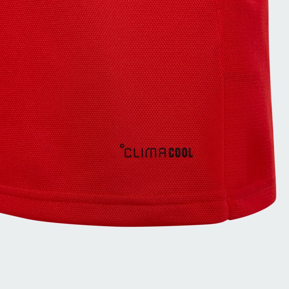 Tricou pentru copii Țara Galilor 150