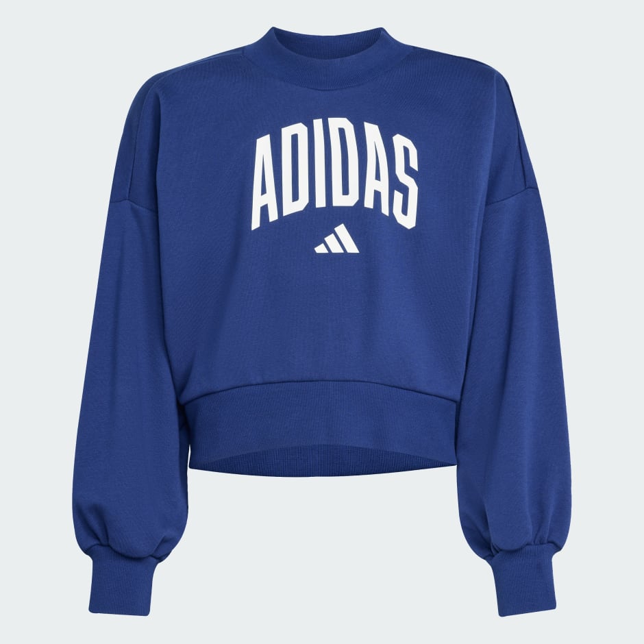 Seasonals Essentials Collegiate Typography Crewneck Sweatshirt Kids