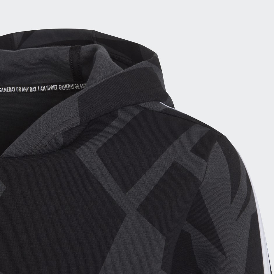 Future Icons 3-Stripes Graphic Hoodie