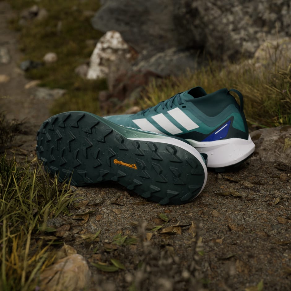 Tenisice za trail trčanje Terrex Agravic GTX