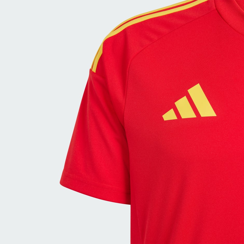 Spain 24 Home Fan Jersey