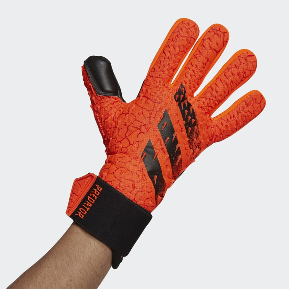 Predator Competition Goalkeeper Gloves image number null