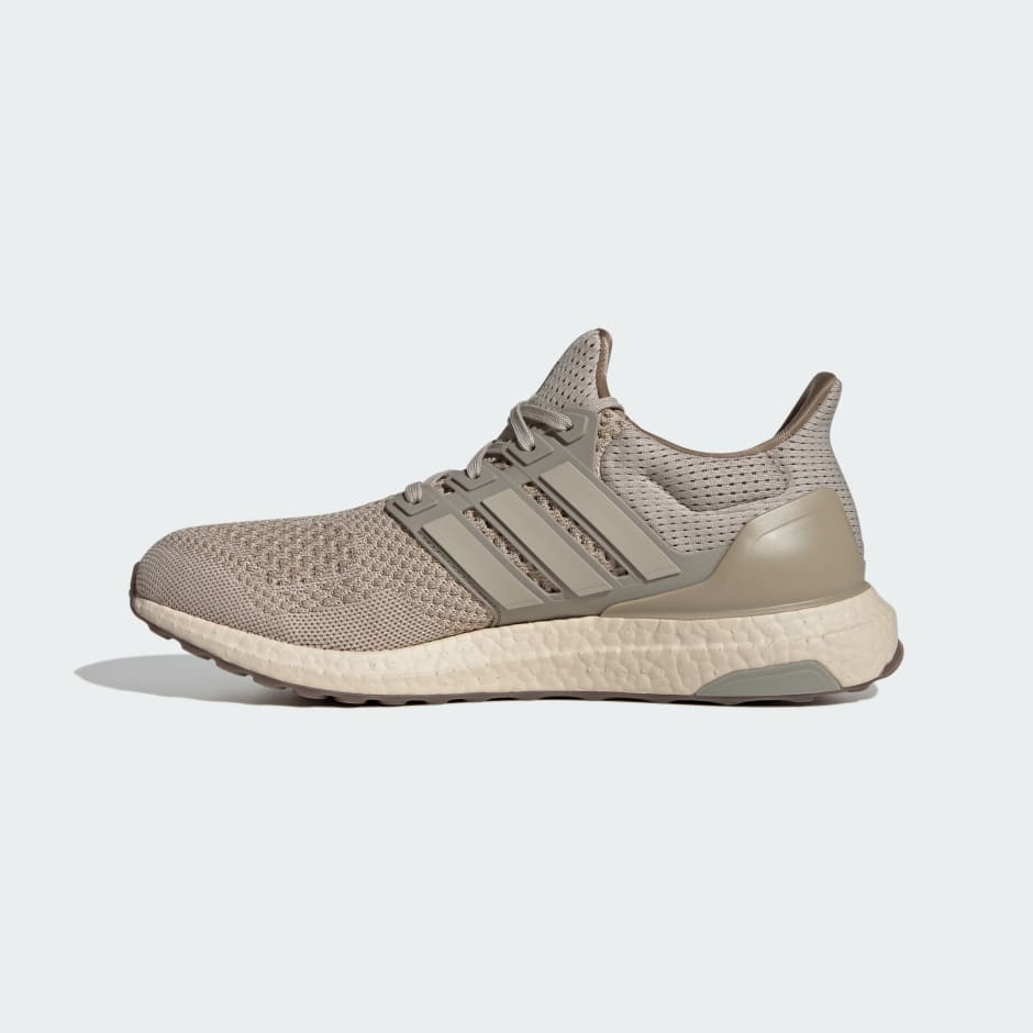 Chaussure Ultraboost 1.0