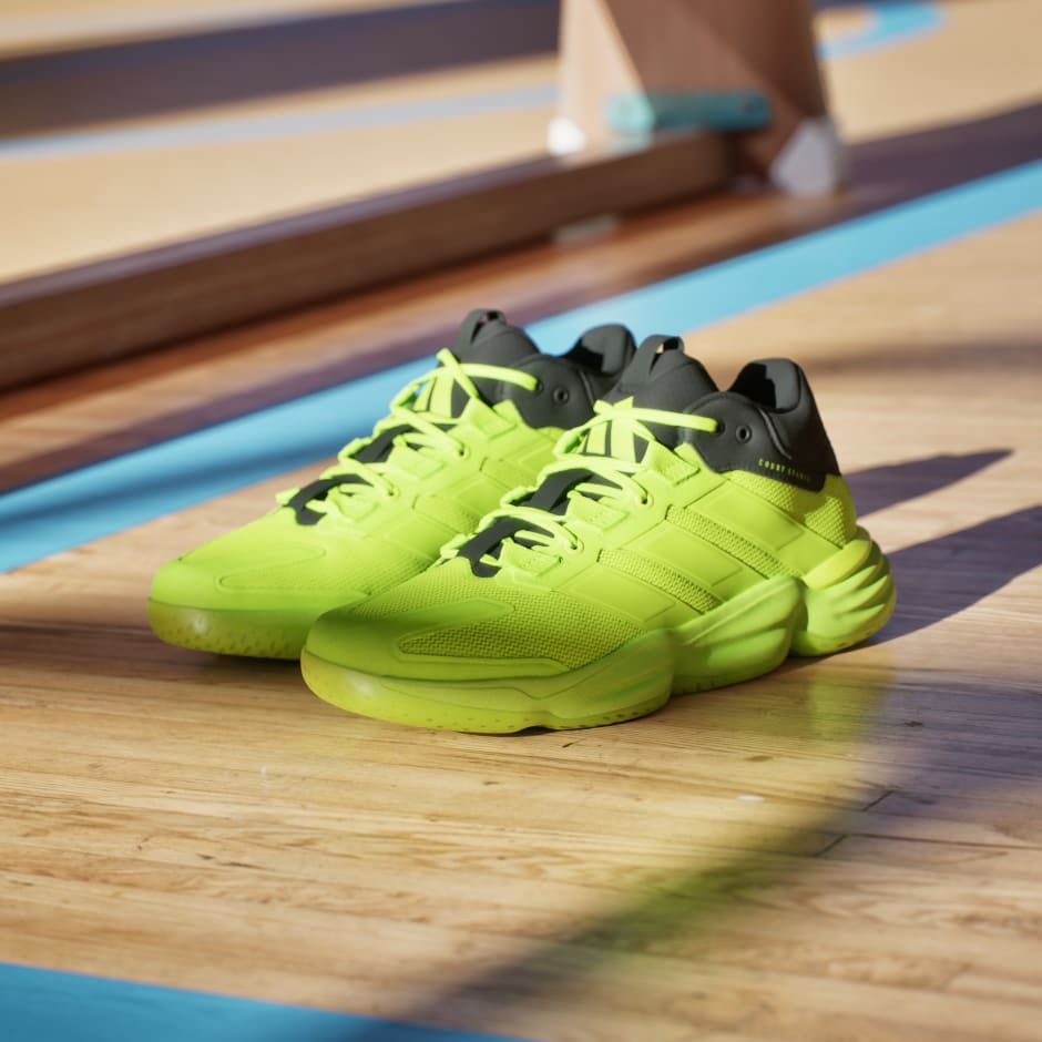 Pantofi de interior Court Stabil