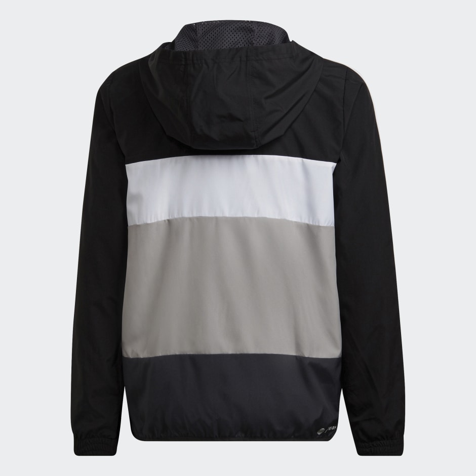 Colorblock Windbreaker