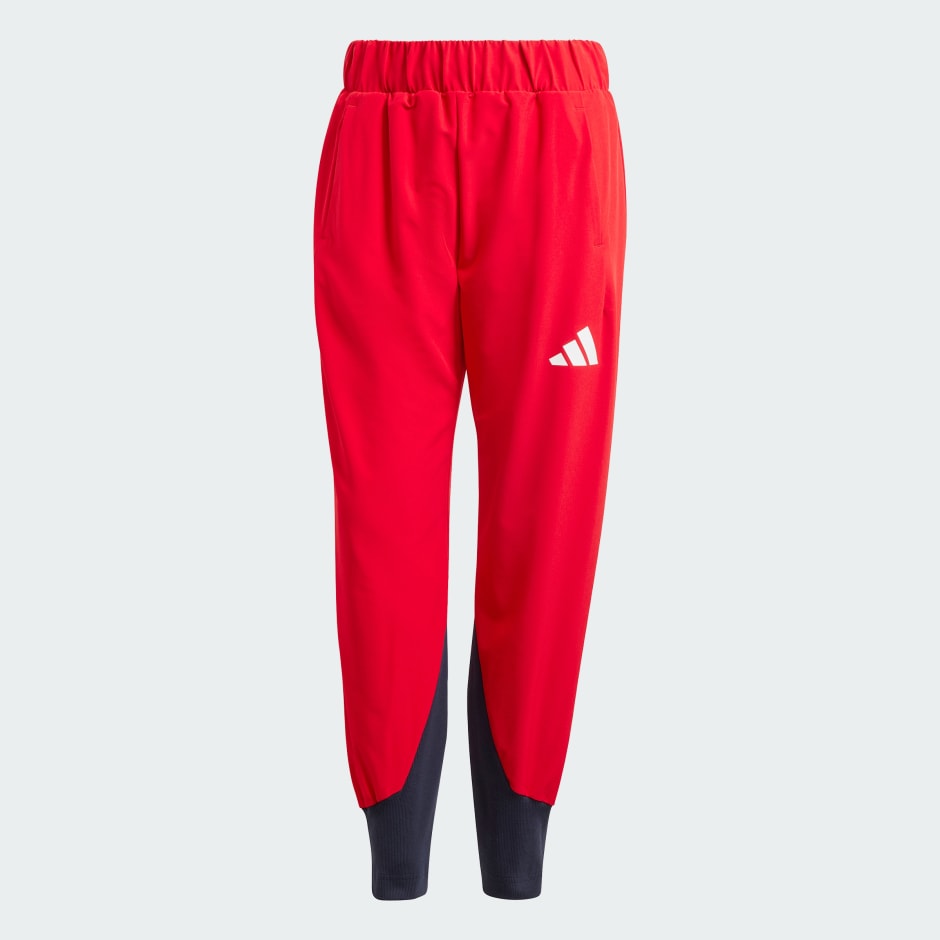 Pantaloni de podium Polonia adidas Z.N.E.