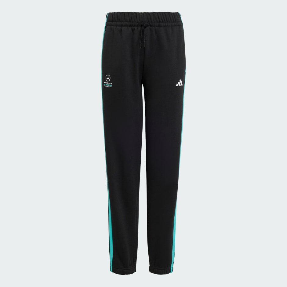 MERCEDES - AMG PETRONAS FORMULA 1 TEAM DNA PANT