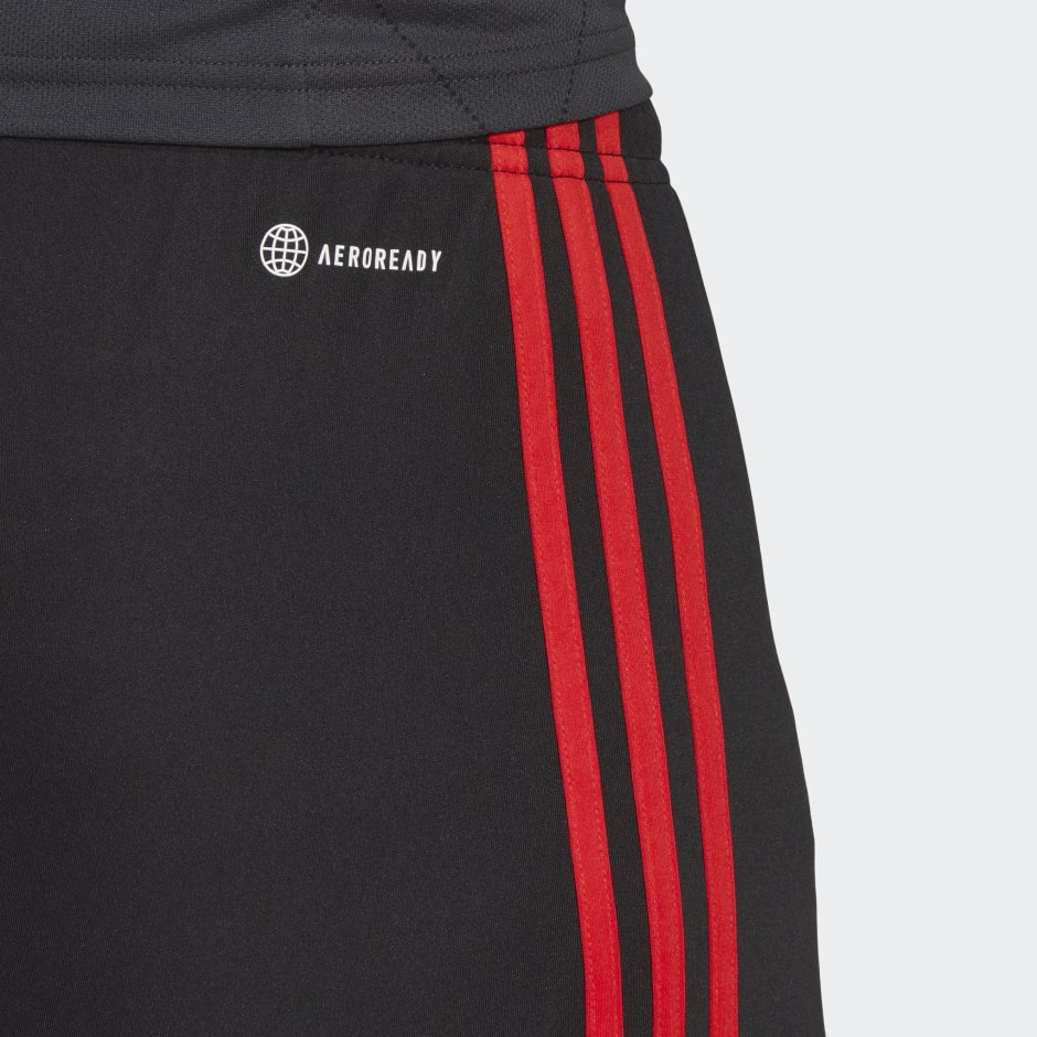 FC Bayern 22/23 Third Shorts