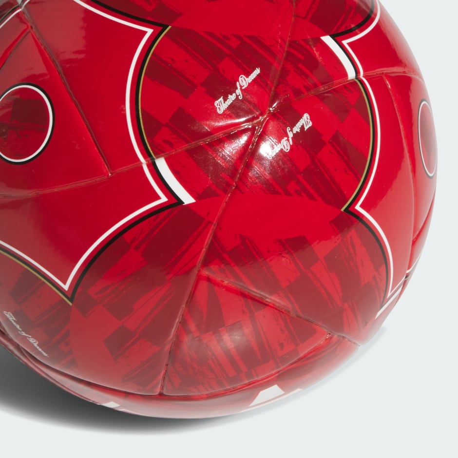 كرة مانشستر يونايتد الرئيسية الصغيرة